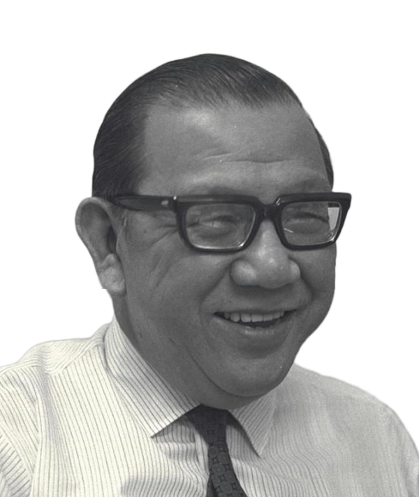 Bronze Wolf Award Scout SG