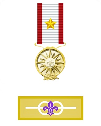 Scout Singapore, Lifetime Service and Ribbon Award