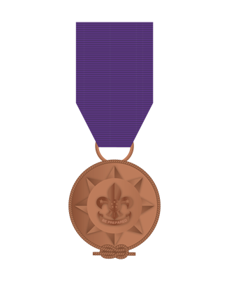 Scout Singapore, International Service Award (Bronze)